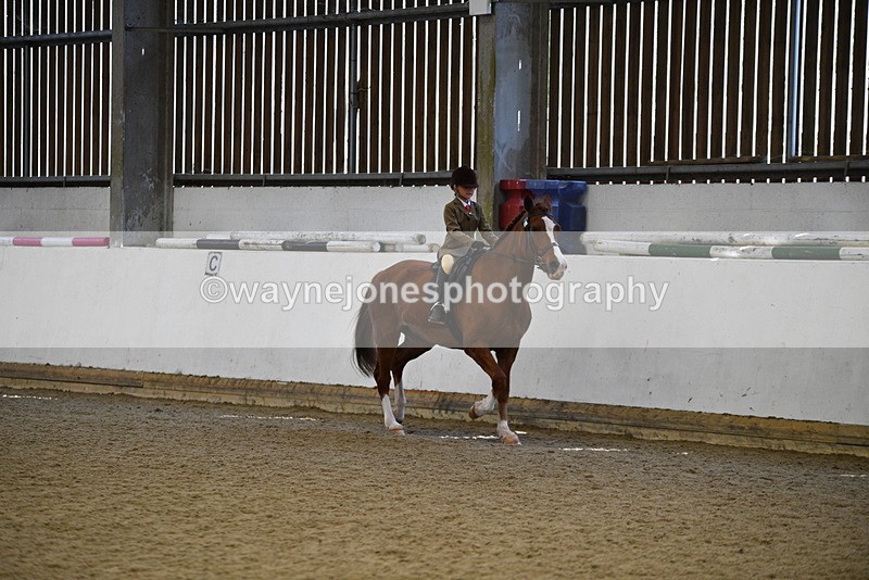 WJ5_6008 - Class 9 Ridden Veteran