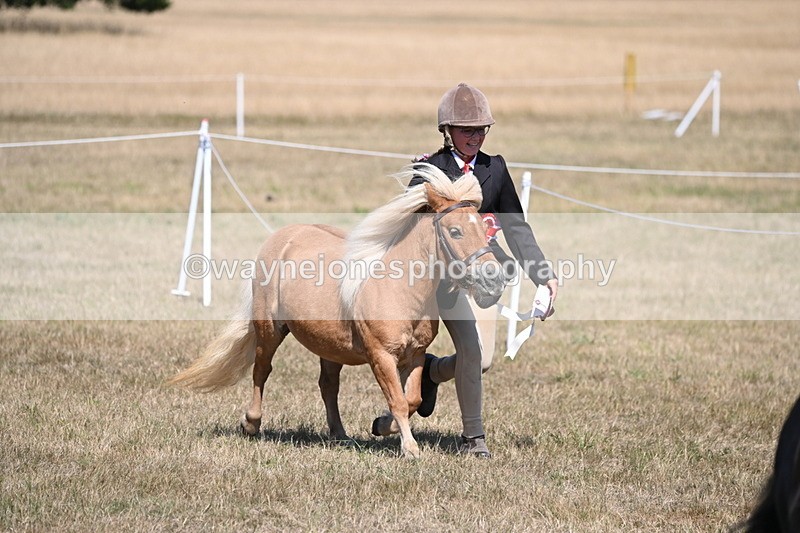 WJ6_9296 - Championship Classes 33-38