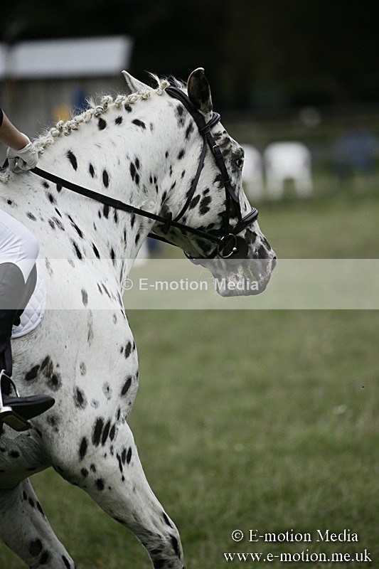 BVR080918 404 - BVRC Novice Dressage & CR 08/09/18
