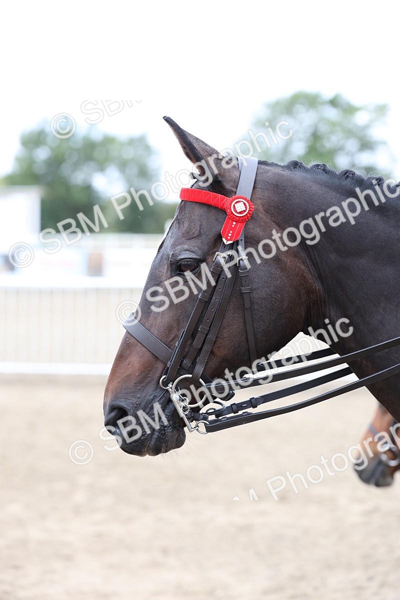 SBM_01431 - Class 51 - Best Turned Out Ridden