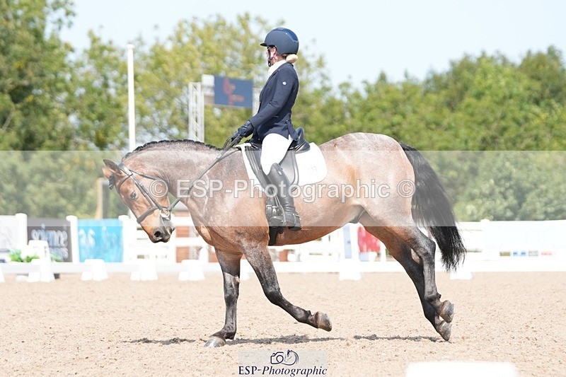 250817-125124-09442 - 177-Joanne.PengellyAshfield.Bob