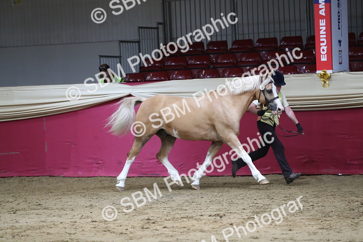 SBM_06279 - Class 9R Regional- IH Pre Vet