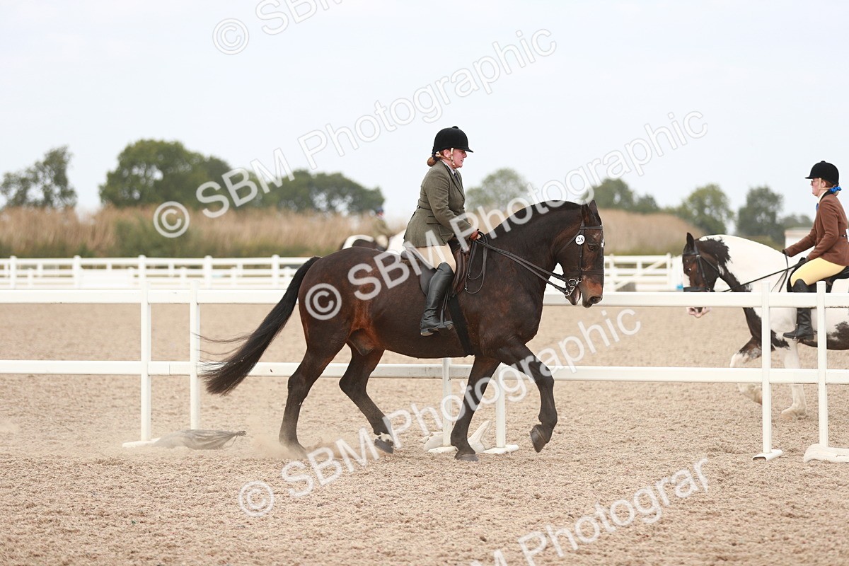 SBM_16631 - Class 214 Ridden Cob
