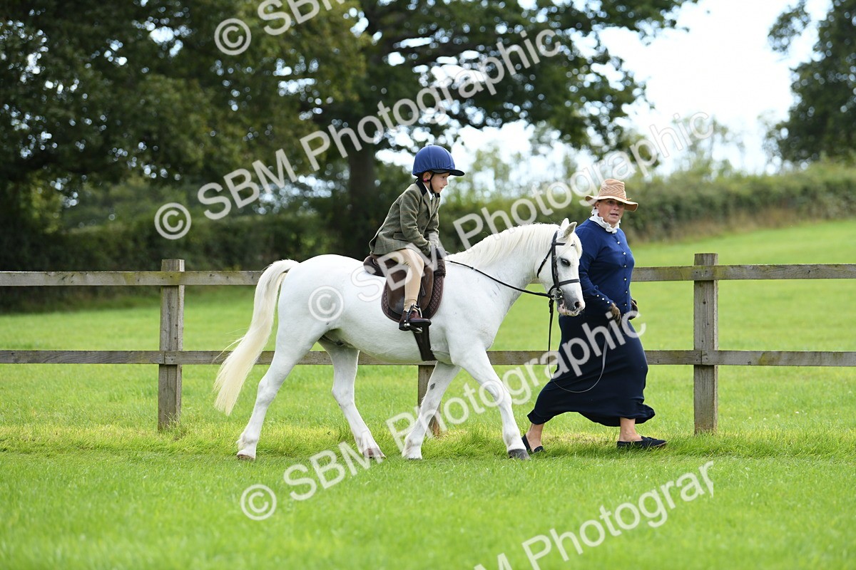 SBM_42462 - S20 - Lead Rein Mountain & Moorland Pony