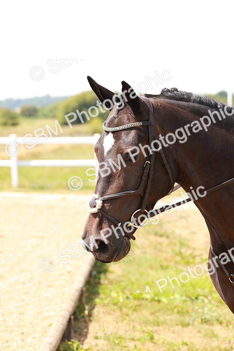 SBM_003891 - AE - 80cm