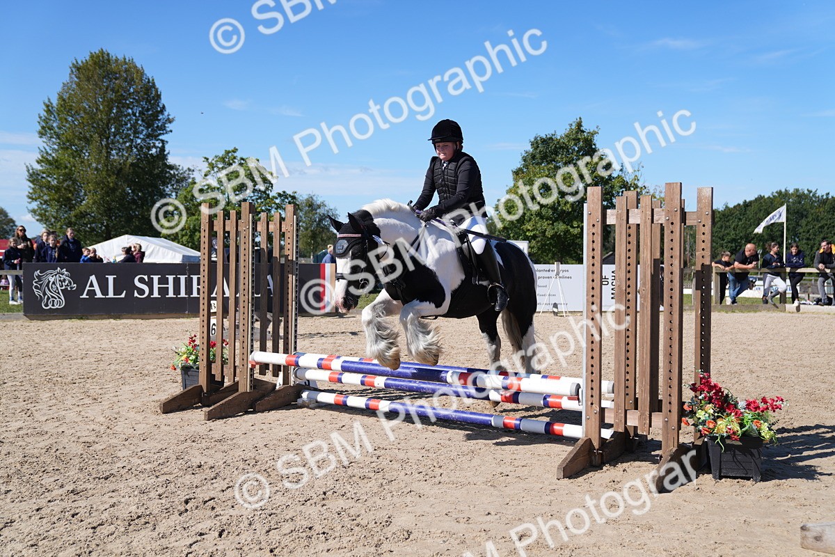 SBM_19486 - J57 - Clear Round 50cm