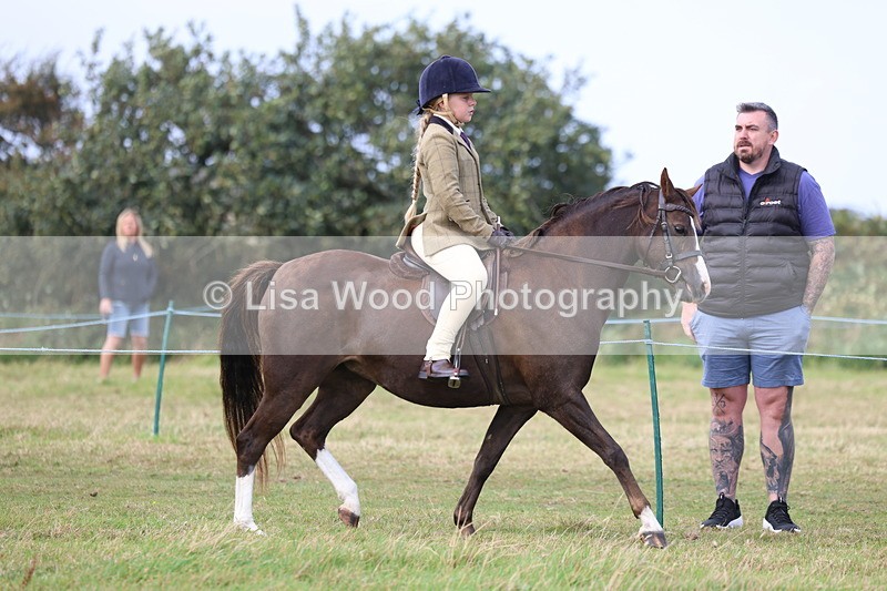 3E7A3902 - Class 4: Best Combination Open