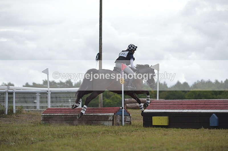 NGP_2327 - XC Time 11:20 to 11:36