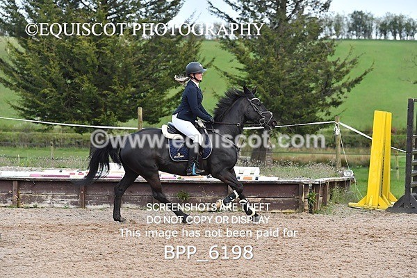 BPP_6198 - CLASS 29 SUN Club/ Unaffiliated 80cms Open