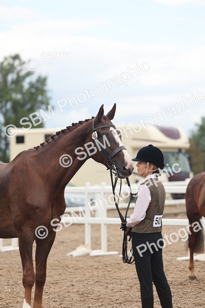 SBM_07782 - Class 27 - IH Competition Horse/Pony