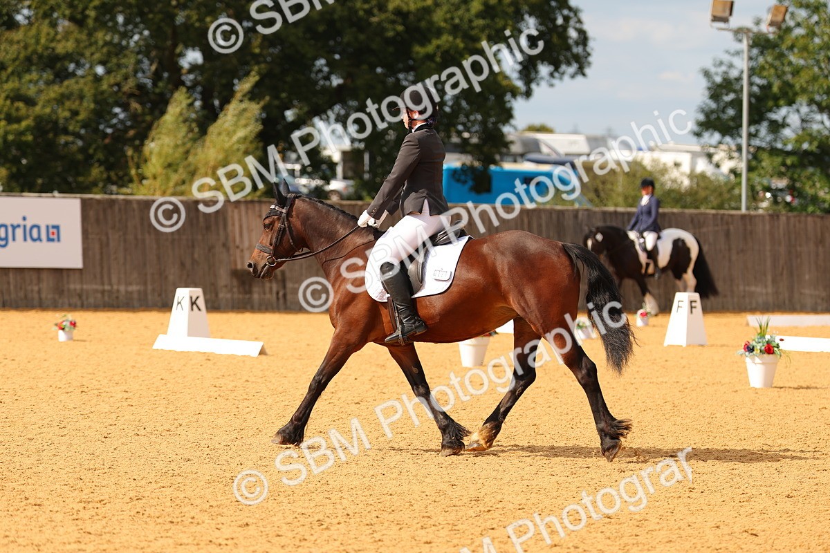 SBM_48254 - D22 - Junior Championship - Intro B
