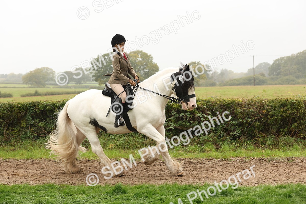 SBM_72712 - S70 - Traditional Cob Ridden