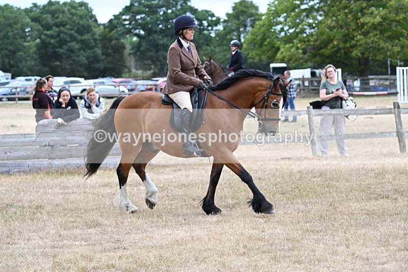 WJ7_0563 - Class 6 Ridden Mountain and Moorland