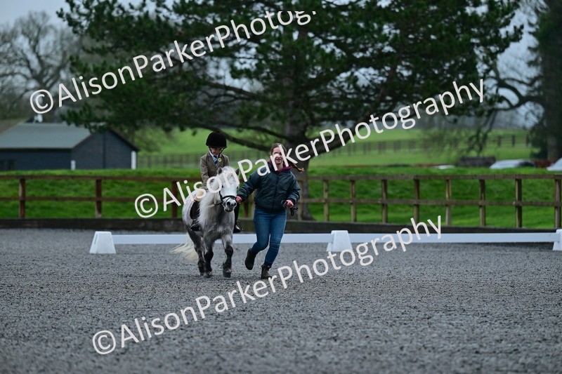 20260125-0787 - Class 9a - Walk Trot Assisted