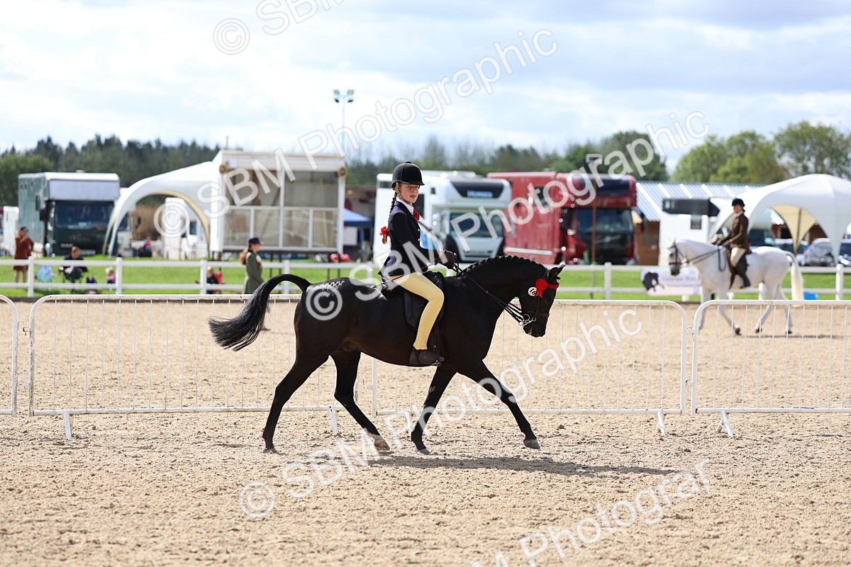 SBM_13257 - Class 311 - Ridden Show Pony Show Hunter Pony