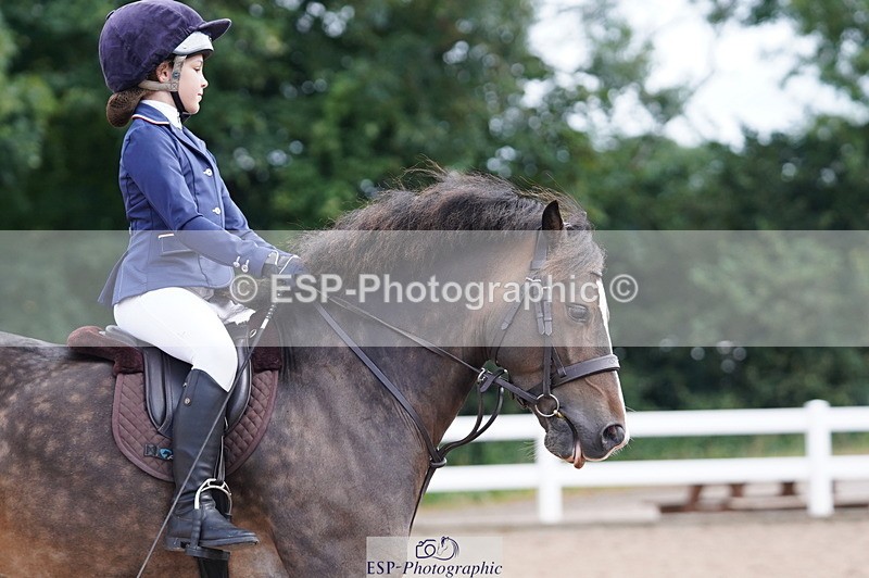 240809A-095810-00379 - Dressage Competition