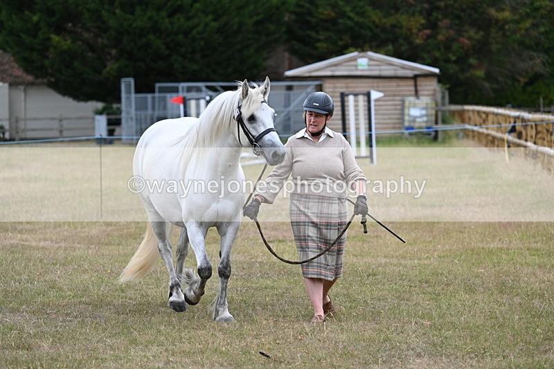 WJ7_9021 - Class 4a Prettiest Mare 14.2hh and over