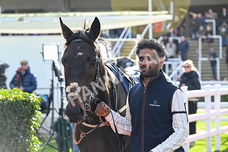 241025-Race 4-Mr McLoughlan-3587 - Race 4
