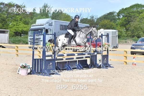 BPP_6255 - CLASS 32 MON Club/ Unaffiliated 80cms Open