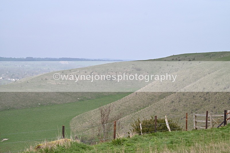 WJ7_8023 - Line 2 A camera