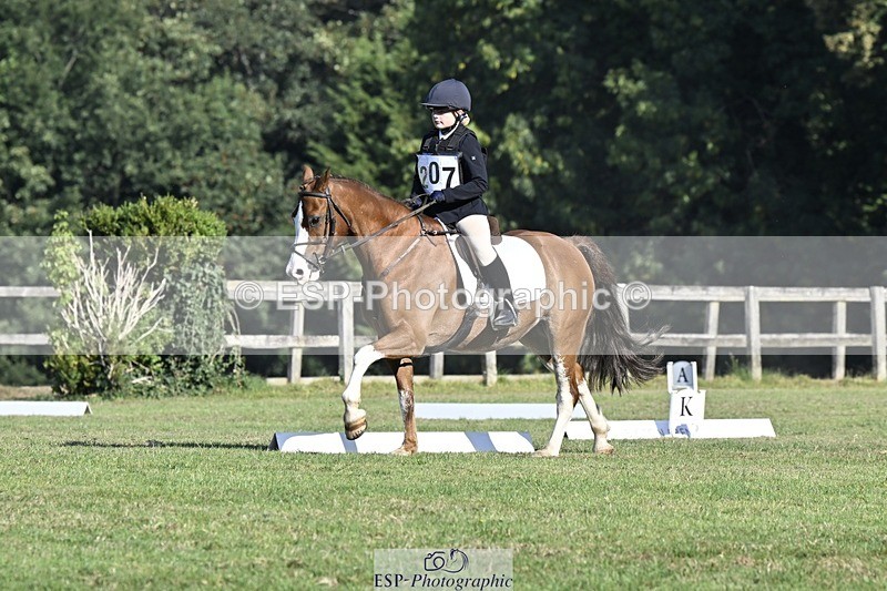 250822A-091802-19115 - DR 9.00 to 10.00