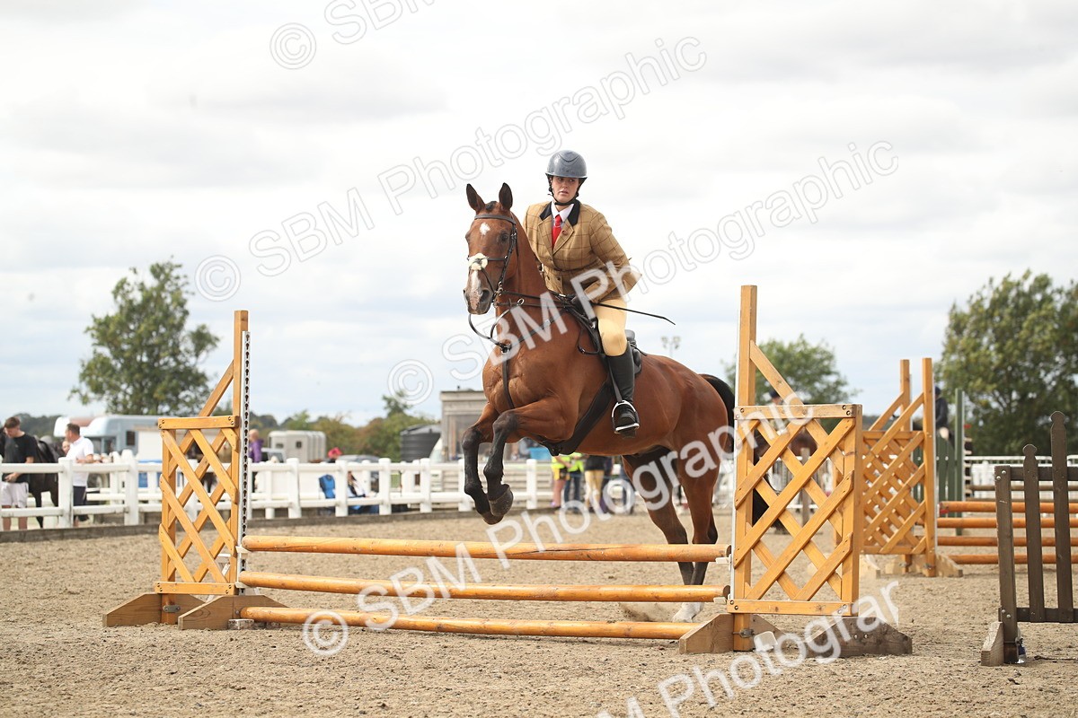 SBM_16779 - Class 507b - Working Veteran 60cm (20+)