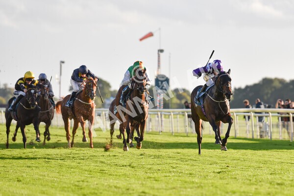 yr07102022r6-30 - Race 6 5.00pm William Hill Lengthen Your Odds EBF Novice Stakes