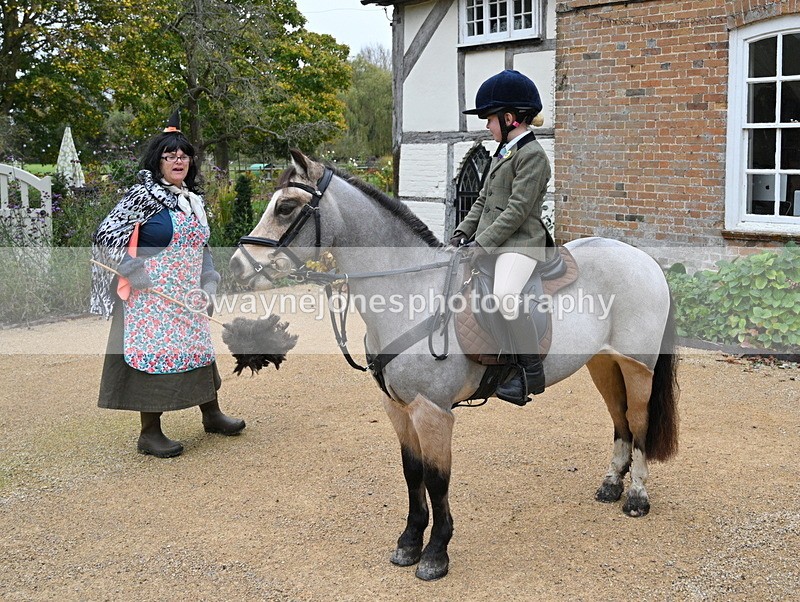 WJ7_6915 - Berks & Bucks - Children's Meet - The Old Farmhouse – Steventon.