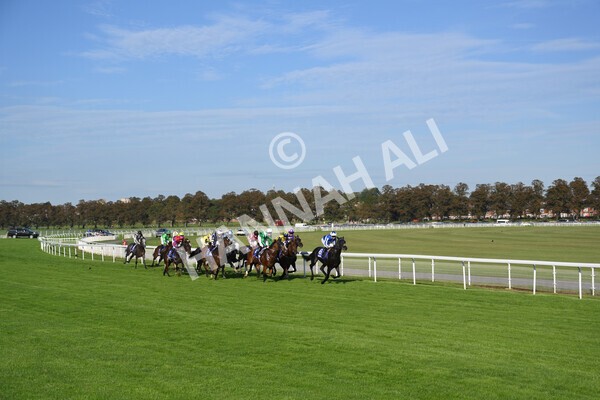 yr08102021r4-20 - Race 4 3.50pm Casumo Dare To be Different Handicap