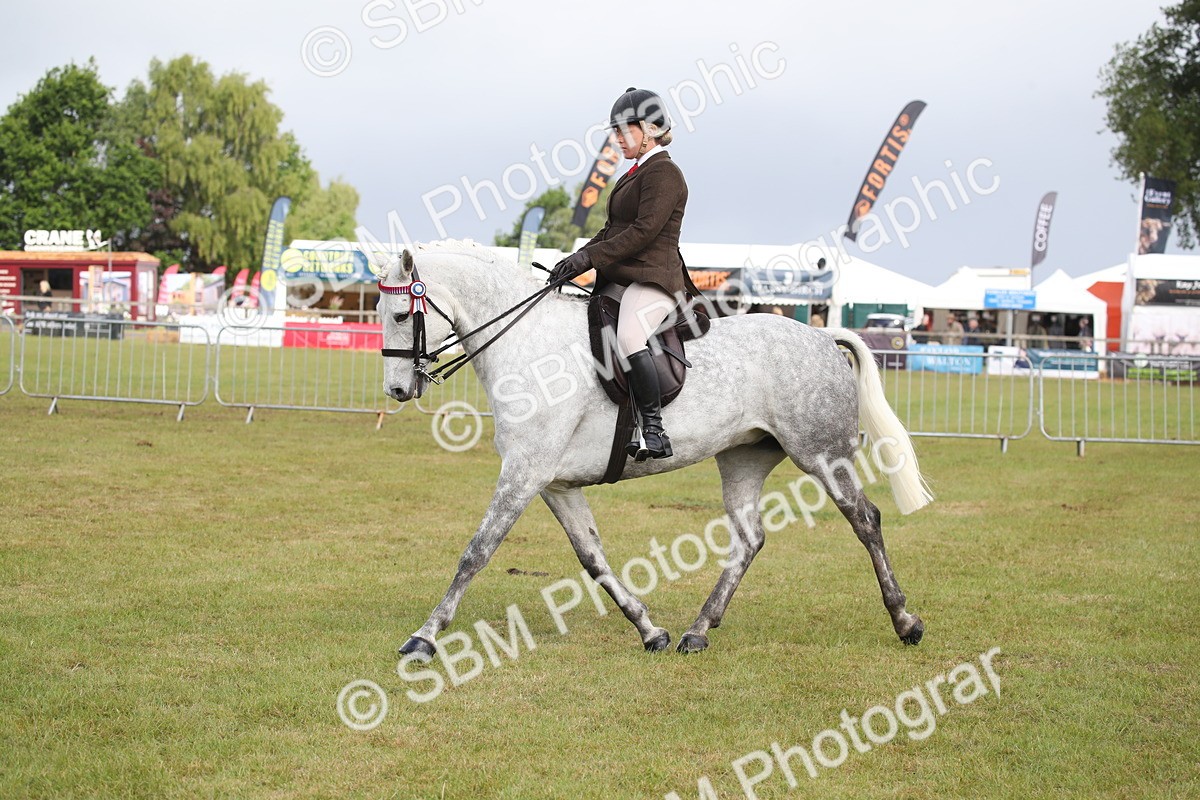 SBM_11517 - Class 95-96 - LIHS BSHA Rising Star Hack Riding Horse