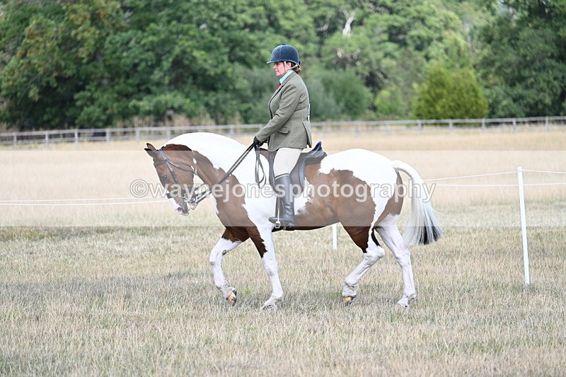 WJ7_7142 - Class 14 Ridden Coloured
