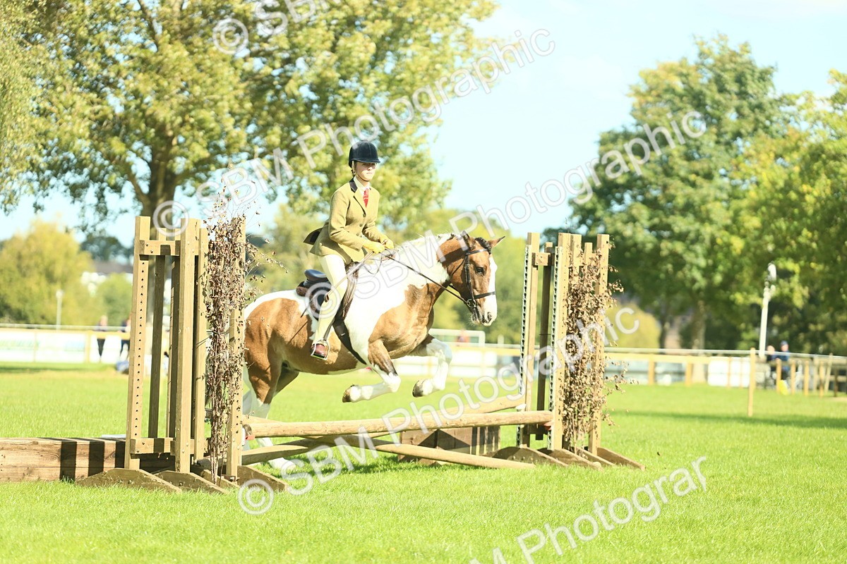 SBM_41968 - S29 - Novice & Newcomers Working Hunter Pony