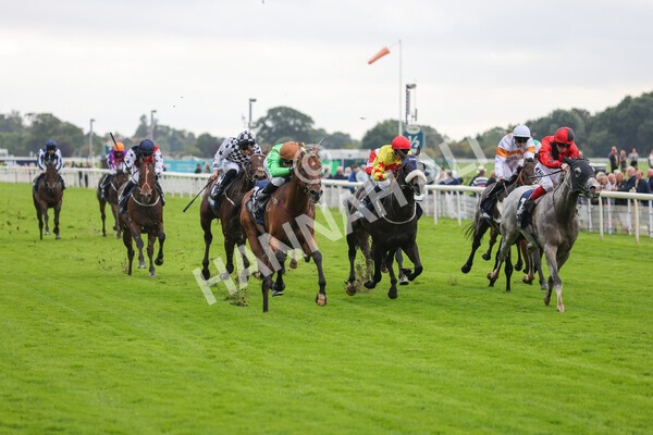 yr24092021r3-23 - Race 3 2.40pm WilliamHill.com Best Odds Guaranteed Stakes