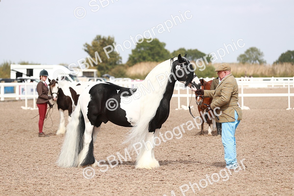SBM_13932 - Class 209 IH Veteran Pony