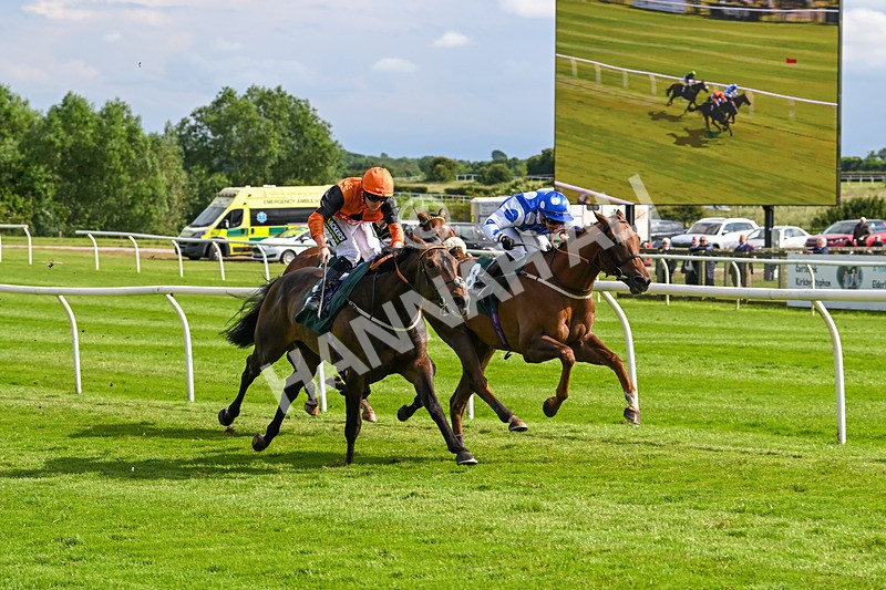 180624-Race 5-Sea The Dream-0576 - Race 5