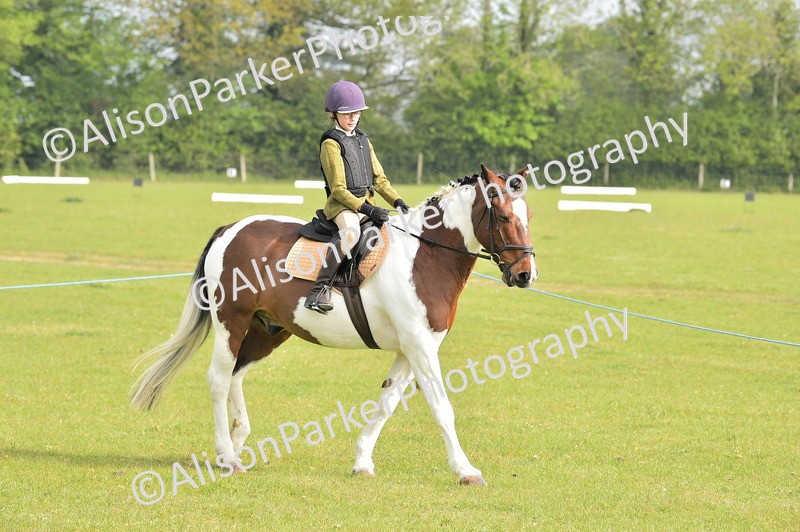 20260426-0845 - Class 18 - Novice Showing