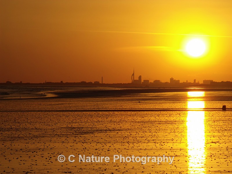 Spinnaker Sunset - Sunsets