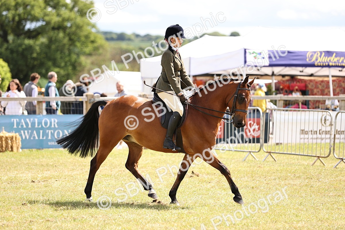 SBM_14520 - Class 88-89 - LIHS BSHA Rising Star of Ridden Hunter Type