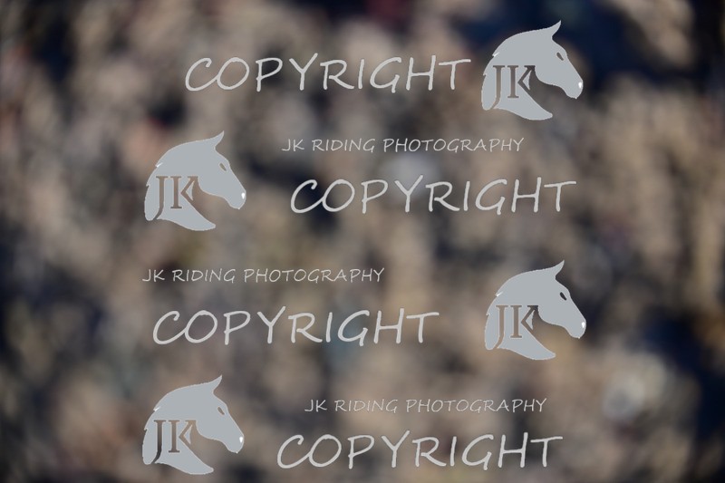 SBP_0700 - 10am - 11am