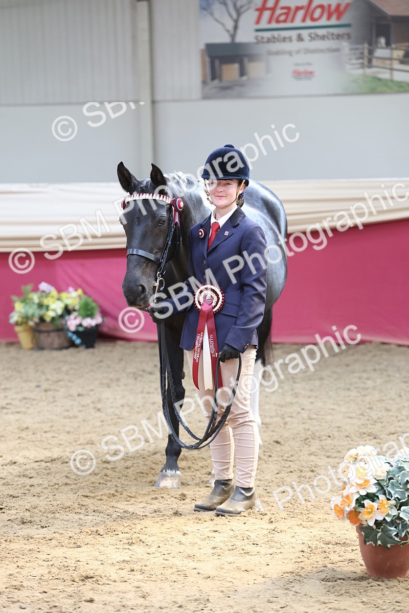 SBM_23406 - Class 903 - Supreme Final - IH Pre Vet