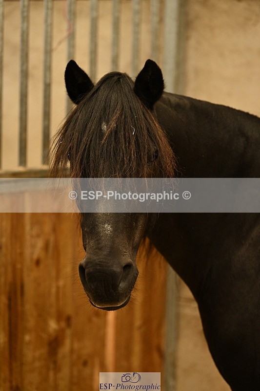 240809A-084815-00016 - Stable Shots