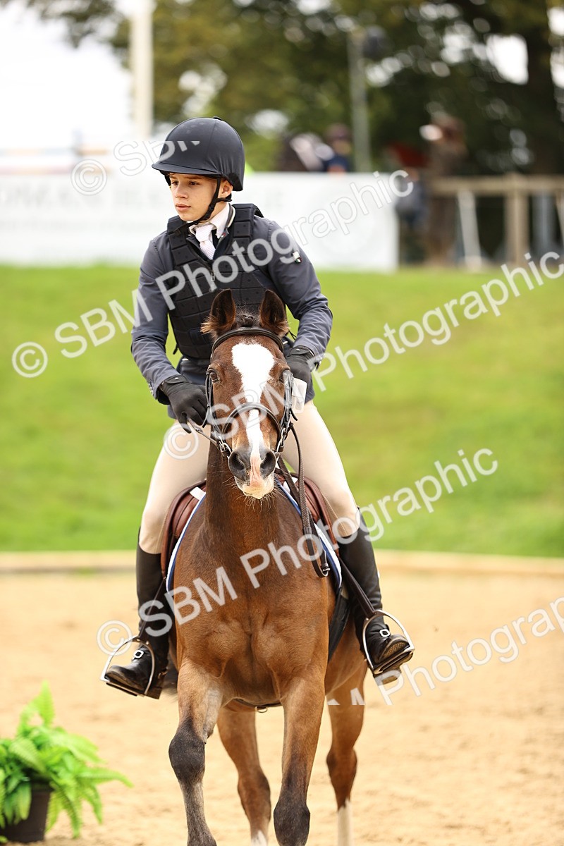 SBM_66512 - J17 - Junior Pony 80cm Championship