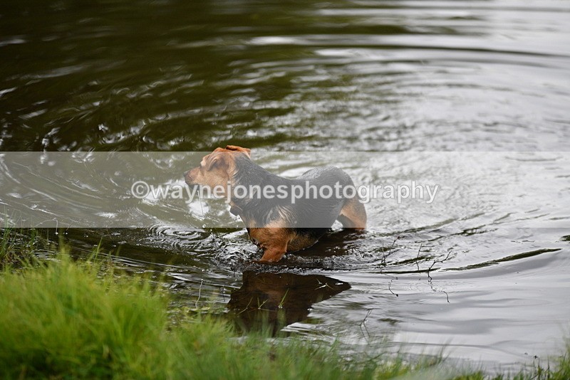 WJ5_5183 - Time 12:04 to 13:05