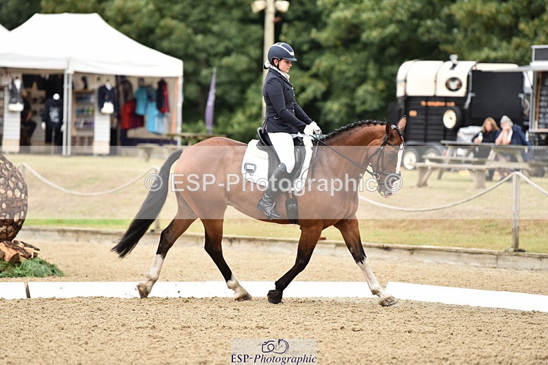 140109A-233534-08512 - 008-Bella.Balian-Beechwood.Joey