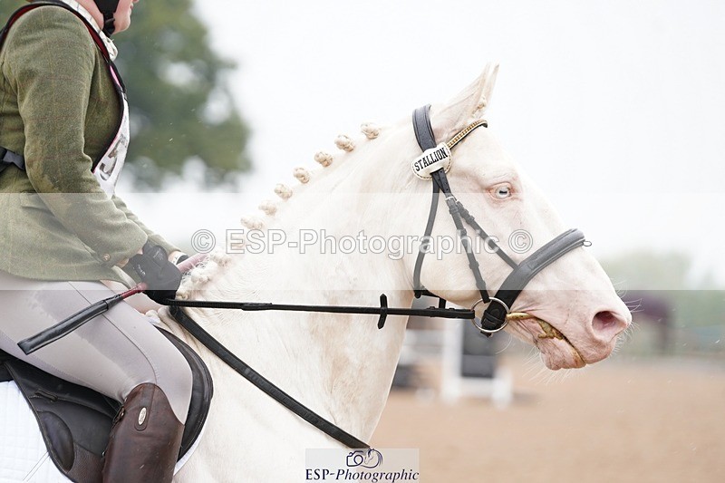 240901A-145502-10188 - 576-Tabitha.Bluck-PENDANN.REEF