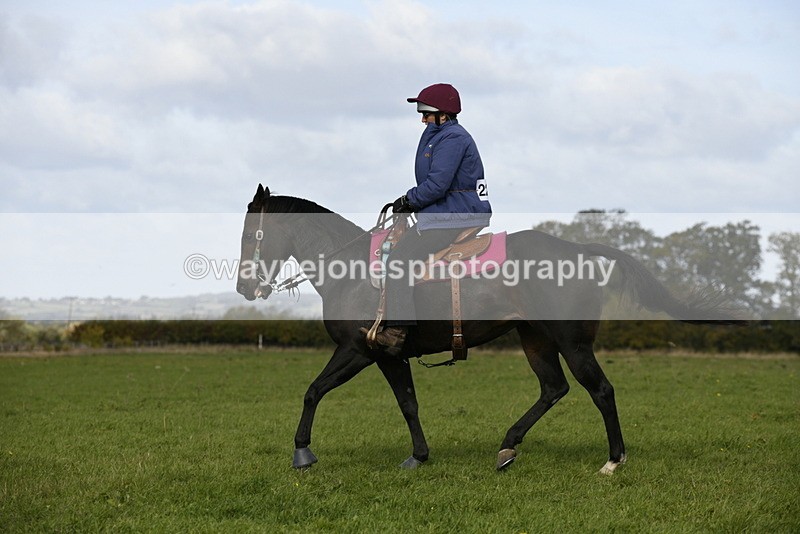 _DSC6440 - Time 11:23 to 12:05