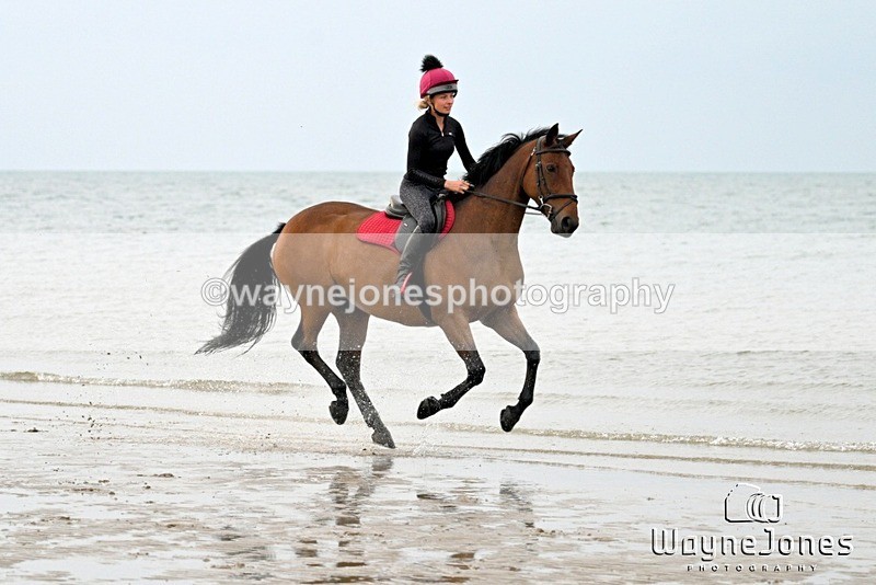 WJ7_8957 - Hayling Island Beach Shoot 22-09-24