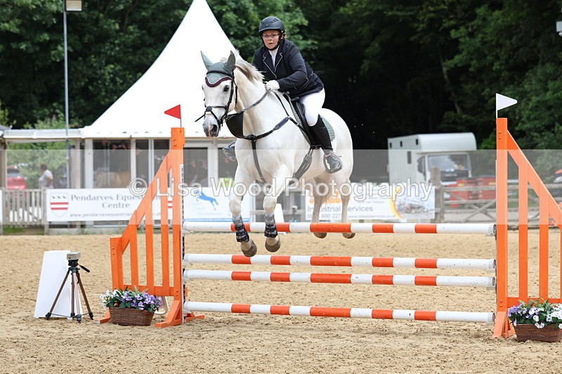 3E7A6267 - Class 4: Senior British Novice/90cm open