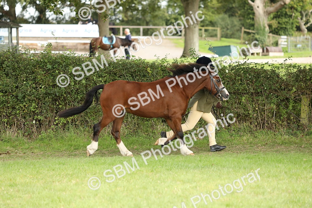 SBM_68532 - S40 - Junior Handler 9-12 Years
