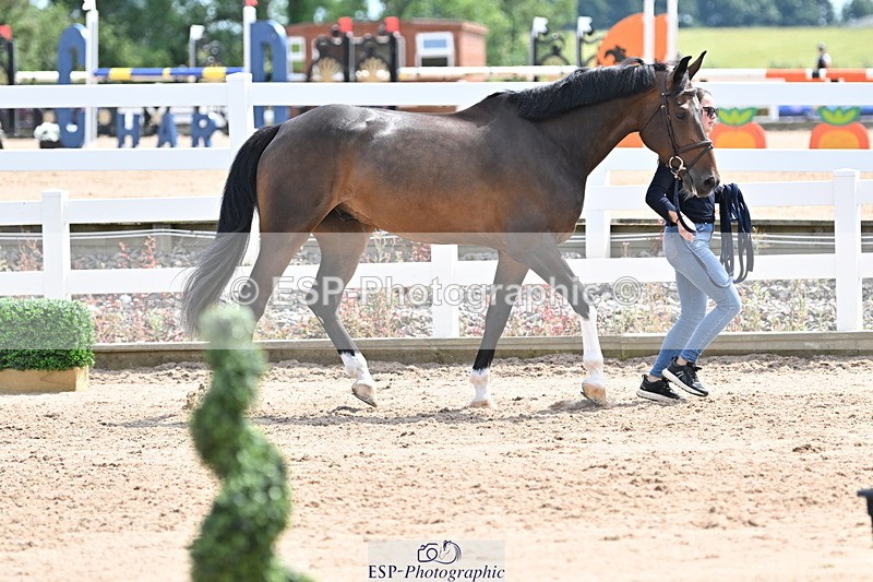 240717A-144645-02288 - Trot Up 2pm to 3pm - This folder is not in time order
